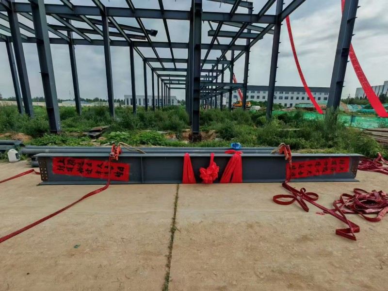 Yongcheng Xingye Polad Struktur Şirkəti Hebei Bosheng Qida Atölyesi İnşaatını sürətləndirdi